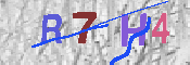 CAPTCHA-bild